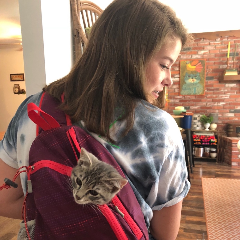 Meet your Posher, Alyssa